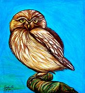 Image result for Owl Perch