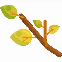 Image result for SIB Tree Branch Icon