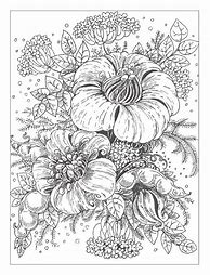 Image result for Detailed Coloring Books