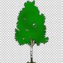 Image result for Birch Tree Branch Clip Art