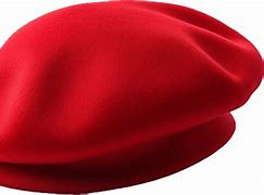 Image result for French Army Beret