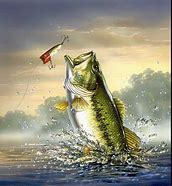 Image result for Bass Fishing iPhone Wallpaper