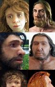 Image result for Human Evolution Faces