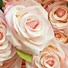 Image result for Brown Colored Flowers