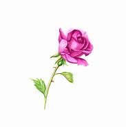 Image result for Long Stem Rose Line Art