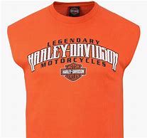 Image result for Harley-Davidson Shirts