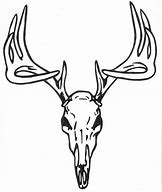 Image result for Mule Deer Skull Clip Art