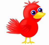 Image result for Colorful Bird Drawings