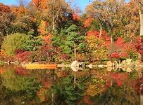 Image result for Cartton Fall