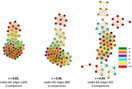 Image result for Zero Correlation Graph