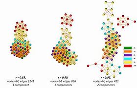 Image result for Correlation Graphs Imagesc