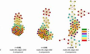 Image result for Correlation Graph Anatomy