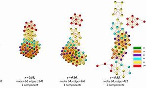 Image result for Linear Correlation Graph