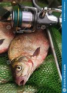 Image result for Fishing Rod and Reel Clip Art