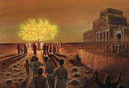 Image result for Tree of Life Poster