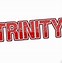 Image result for Trinity Logo