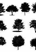 Image result for Maple Tree Branch Vector