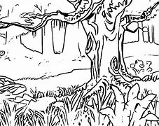 Image result for Kids Coloring Forest