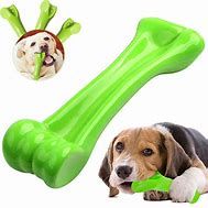 Image result for Hard Plastic Dog Chew Toys