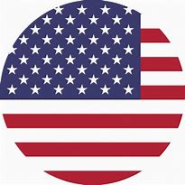 Image result for American Flag Icon