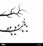 Image result for Tree Branch Template