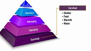 Image result for Maslow's Updated Hierarchy Theory