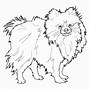 Image result for Pomeranian Dog Coloring Pages