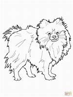 Image result for Pomeranian Dog Coloring Pages