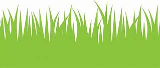 Image result for Grass Clip Art JPEG