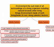 Image result for Action to Protect Environment Mind Map