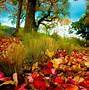 Image result for Colorful Laptop Wallpaper