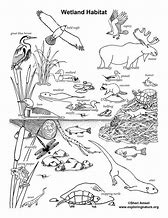 Image result for Animal Homes Coloring