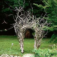 Image result for Halloween Tree Branch