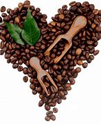 Image result for Animal Coffee Logo