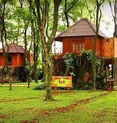 Image result for Rumah Pohon Cibubur