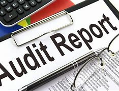 Image result for Internal Control Audit