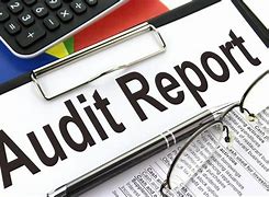 Image result for Audit Cartoon Funny