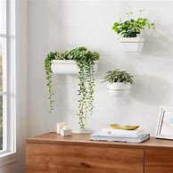 Image result for Wall Plant Holders Outdoor