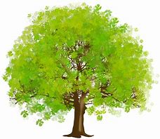 Image result for Clip Art Tree by Water