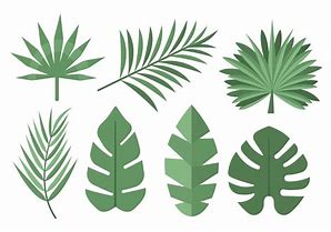 Image result for Tropical Leaf Vector File