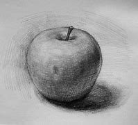 Image result for Apple Drawing with Shadow