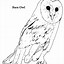 Image result for Owl Feathers Coloring Pages