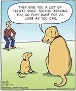 Image result for Silly Dog Cartoon