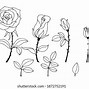 Image result for Six Leaf Plant Silhouette