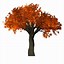 Image result for Autumn Animated Clip Art