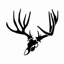 Image result for Mule Deer Skull Clip Art