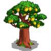 Image result for Vector Evergreen Tree Icon