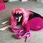 Image result for Animals with Wigs