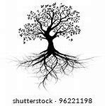 Image result for Tree Roots Drawing