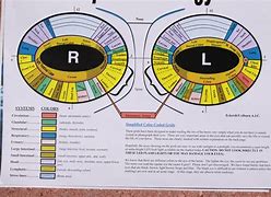 Image result for The Eye Iridology Reading Chart